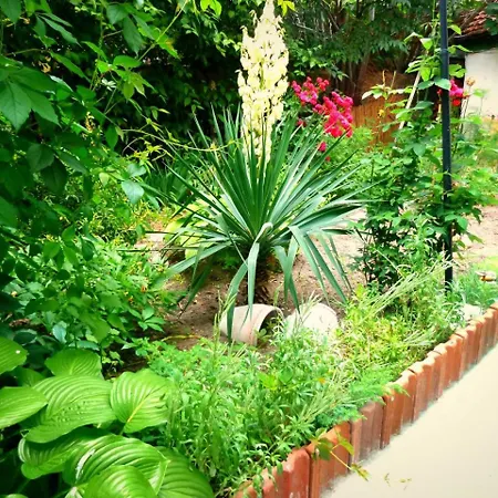 Miro Sea Garden * Burgas Stad